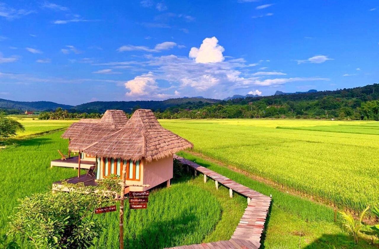 Baan Porhdoi Goidao Βίλα Chiang Dao Εξωτερικό φωτογραφία